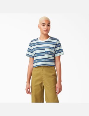 Dickies A Rayas Azules Oscuro | KREPDZ906