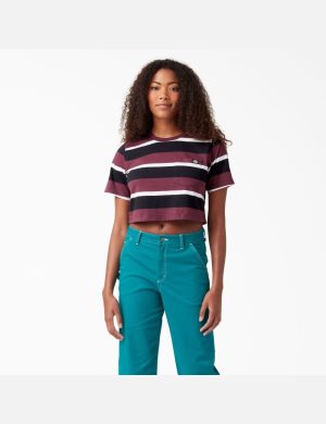 Dickies A Rayas Vino | AKIWQN053