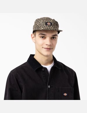 Dickies Albertville Baseball Leopardo | TPFNKE763