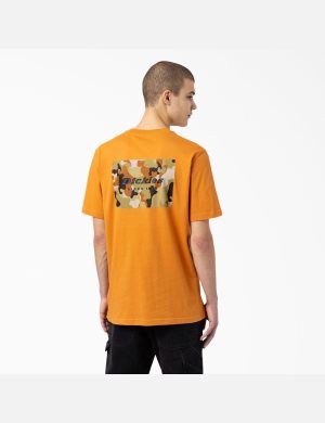 Dickies Artondale Estampados Dorados | JGPECN159