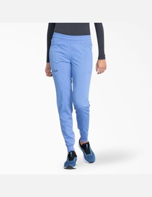 Dickies Balance Jogger Azules | ENJKTG327