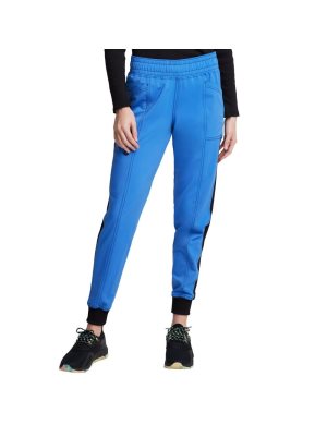 Dickies Balance Jogger Multicolor | ONIXWB325