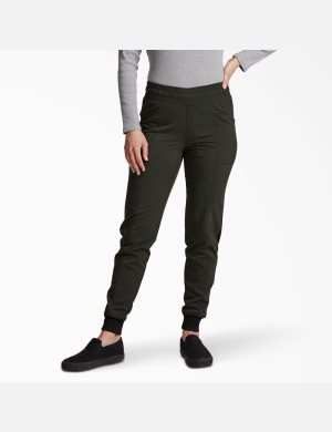 Dickies Balance Jogger Multicolor | YDPQUN902