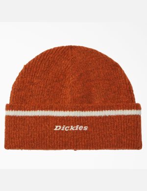 Dickies Chalkville Marrom | ORXCEG891