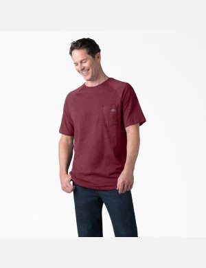 Dickies Cooling Corta Sleeve Vino | QLRJNY524