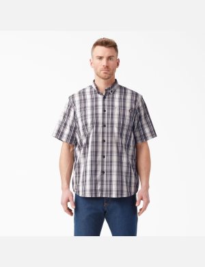 Dickies Corta Sleeve Woven Grises | AUQCMS021