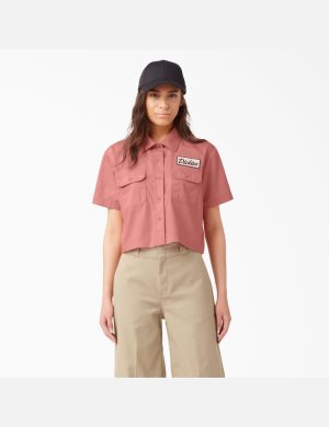 Dickies Cropped Corta Sleeve Trabajo Multicolor | HRTUXB127