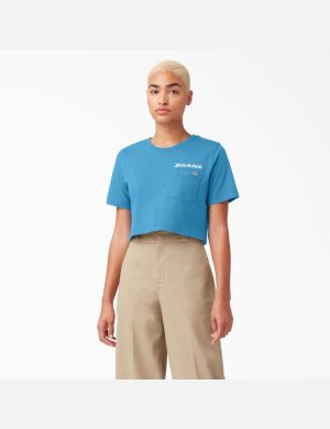 Dickies Cropped Estampados Azules Oscuro | QDCVWY170