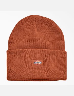 Dickies Cuffed Knit Marrom | MPIGYB971