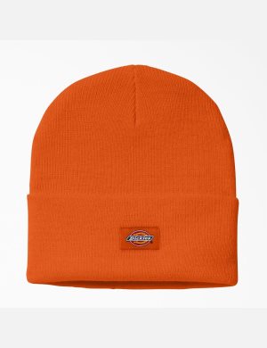 Dickies Cuffed Knit Naranjas | FDMCYK406