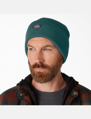 Dickies Cuffed Knit Verdes | NMSFQD460