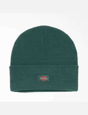 Dickies Cuffed Knit Verdes | OHIRDK236