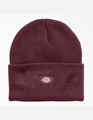 Dickies Cuffed Knit Vino | YKRJXZ853