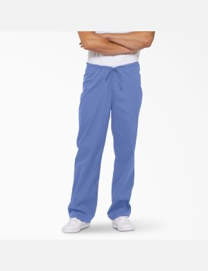 Dickies EDS Signature Azules | TEDYZX374