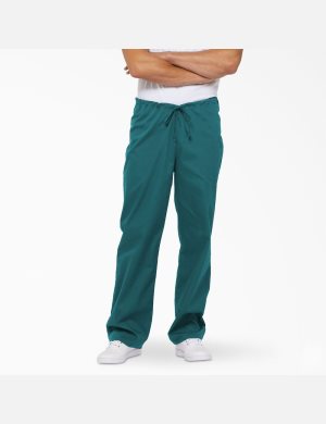 Dickies EDS Signature Turquesa | TUEHXY750