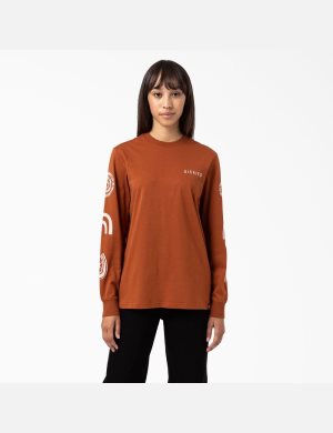 Dickies Falkville T-Shirt Marrom | PUCOSZ716