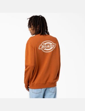 Dickies Holtville Marrom | YOTSHC567