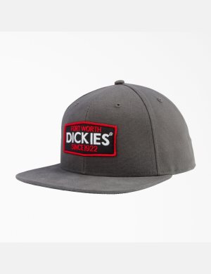 Dickies Logo Patch Planos Bill Grises | FJSGMT954