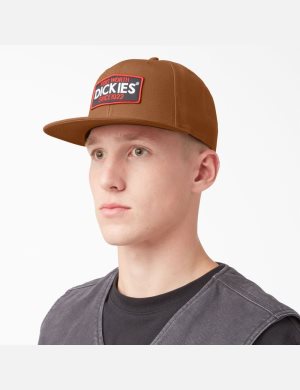 Dickies Logo Patch Planos Bill Marrom | EDWASR325