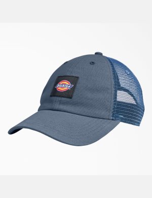 Dickies Lona Trucker Grises Azules | FJSHPA021
