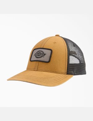 Dickies Lona Trucker Marrom | EJLGWC351