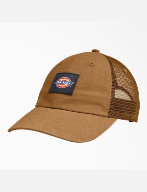 Dickies Lona Trucker Marrom | VZSYBQ315