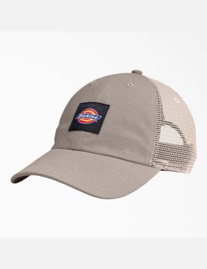 Dickies Lona Trucker Multicolor | LPDANR860