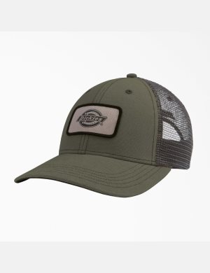 Dickies Lona Trucker Verdes | DKVOJZ749