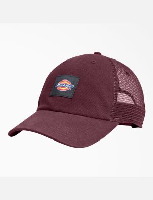 Dickies Lona Trucker Vino | BOLKPY138