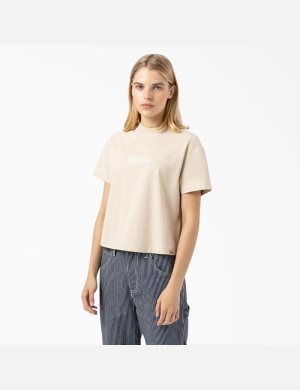 Dickies Loretto Marrom | OVTYWI278