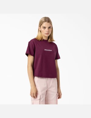 Dickies Loretto Morados Vino | VACJNU190