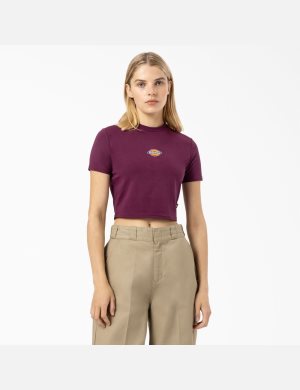 Dickies Maple Valley Morados Vino | IRSEYV837