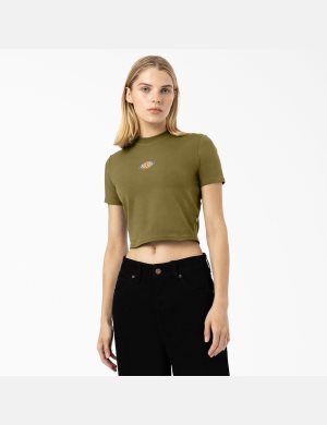 Dickies Maple Valley Verdes | FXGZQY815