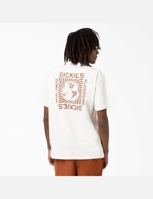 Dickies Marbury Corta Sleeve Blancos | VWYNHU896