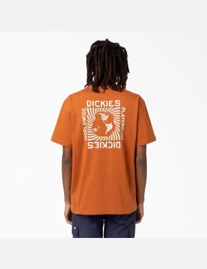 Dickies Marbury Corta Sleeve Marrom | PHJSOW670