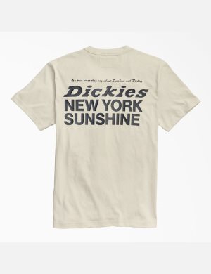 Dickies New York Sunshine x MFG Grises | NILQHD798