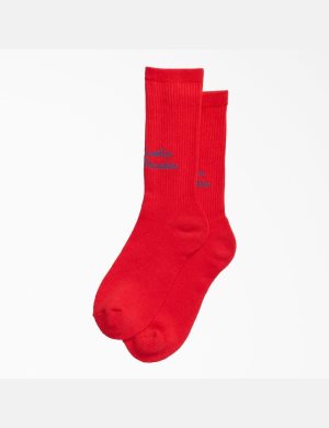 Dickies New York Sunshine x Paradise Rojos | MLIJBH598