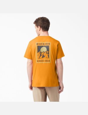 Dickies Pacific Estampados Dorados | EKPCXF961