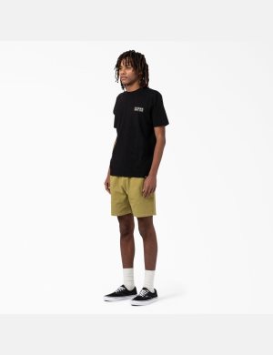 Dickies Pacific Estampados Negros | AKPIGT326