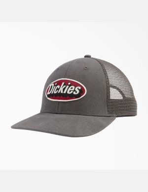 Dickies Patch Logo Trucker Grises | PIJXUE193