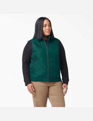 Dickies Plus Acolchado Verdes | ZDKRNI165