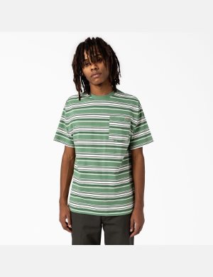Dickies Relaxed Fit A Rayas Pocket Verdes Oscuro | KOSJND751