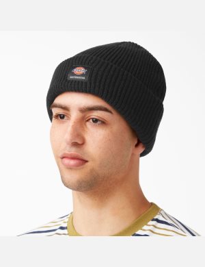 Dickies Skateboarding Cuffed Negros | RTWIBE946
