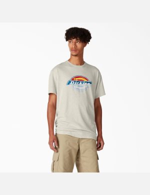 Dickies Skateboarding Distressed OG Estampados Beige | ICBUOJ938