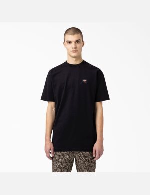 Dickies Skateboarding Mount Vista Negros | KQEXRB217