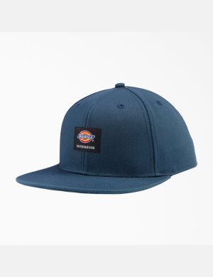Dickies Skateboarding Planos Bill Azules | OBLEGX156