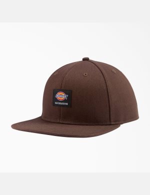 Dickies Skateboarding Planos Bill Chocolate Marrom | TBNVIR376