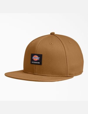 Dickies Skateboarding Planos Bill Marrom | TZYBVK140