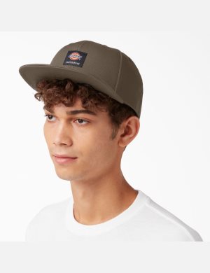 Dickies Skateboarding Planos Bill Marrom Claro | ZDKGBC397