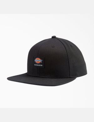 Dickies Skateboarding Planos Bill Negros | PAWZIE309